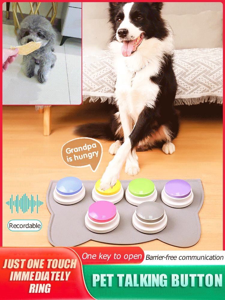 Pet communication button