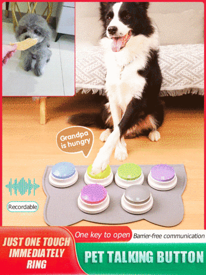 Pet communication button
