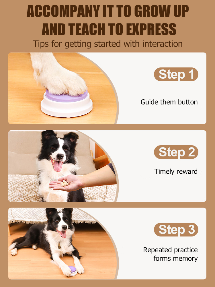 Pet communication button