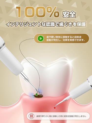 超音波歯クリーナー 口腔洗浄器 業界初 浄化機能付き USB充電式 携帯用歯清潔器 超音波振動 口腔ケア 5つモード調節可能 内蔵LEDライト クリーニングキット 日本語取扱説明書