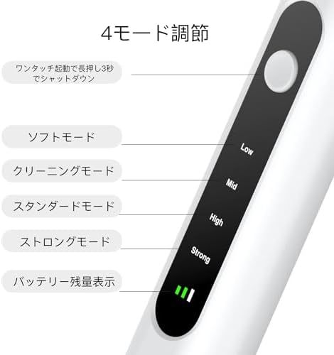 可視カメラ 口腔洗浄器 USB充電式 LEDライト 4モード調節可能 家庭用 自宅 男性用 女性用 携帯便利 軽量 小型 祝日 誕生日 プレゼント ギフト