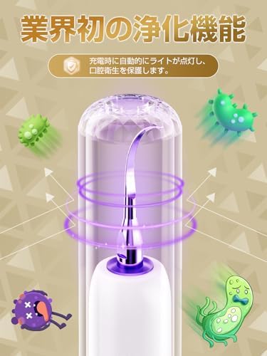 超音波歯クリーナー 口腔洗浄器 業界初 浄化機能付き USB充電式 携帯用歯清潔器 超音波振動 口腔ケア 5つモード調節可能 内蔵LEDライト クリーニングキット 日本語取扱説明書