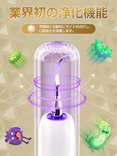 超音波歯クリーナー 口腔洗浄器 業界初 浄化機能付き USB充電式 携帯用歯清潔器 超音波振動 口腔ケア 5つモード調節可能 内蔵LEDライト クリーニングキット 日本語取扱説明書
