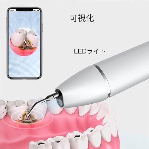 可視カメラ 口腔洗浄器 USB充電式 LEDライト 4モード調節可能 家庭用 自宅 男性用 女性用 携帯便利 軽量 小型 祝日 誕生日 プレゼント ギフト