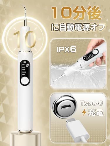 超音波歯クリーナー 口腔洗浄器 業界初 浄化機能付き USB充電式 携帯用歯清潔器 超音波振動 口腔ケア 5つモード調節可能 内蔵LEDライト クリーニングキット 日本語取扱説明書