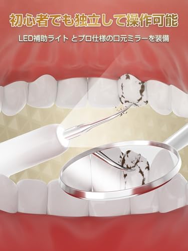 超音波歯クリーナー 口腔洗浄器 業界初 浄化機能付き USB充電式 携帯用歯清潔器 超音波振動 口腔ケア 5つモード調節可能 内蔵LEDライト クリーニングキット 日本語取扱説明書