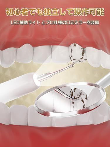 超音波歯クリーナー 口腔洗浄器 業界初 浄化機能付き USB充電式 携帯用歯清潔器 超音波振動 口腔ケア 5つモード調節可能 内蔵LEDライト クリーニングキット 日本語取扱説明書