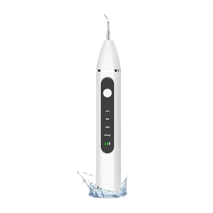 可視カメラ 口腔洗浄器 USB充電式 LEDライト 4モード調節可能 家庭用 自宅 男性用 女性用 携帯便利 軽量 小型 祝日 誕生日 プレゼント ギフト