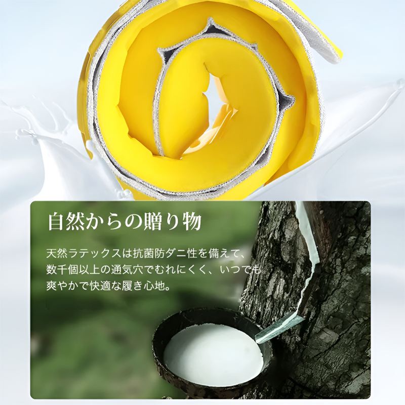 天然ラテックス素材の抗菌防ダニ性と数千個の通気孔による蒸れにくい構造説明