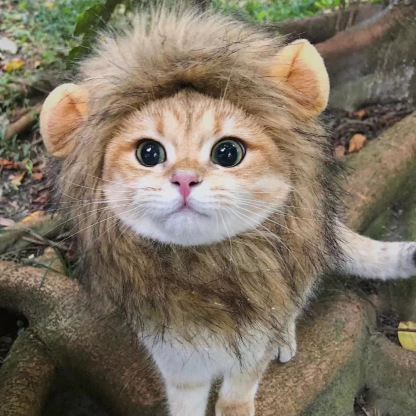  Popular Pet Cat Lion Mane Hat