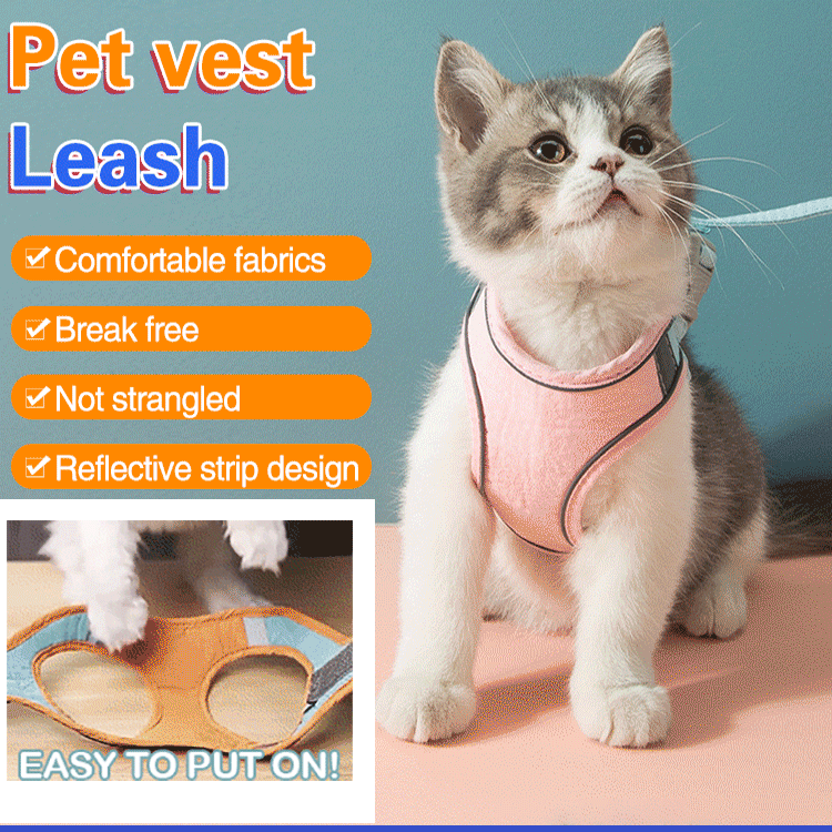 Pet harness leash