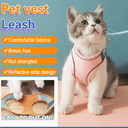 Pet harness leash