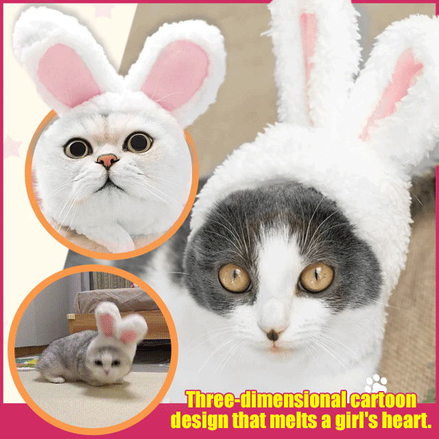  Popular Pet Cat Lion Mane Hat