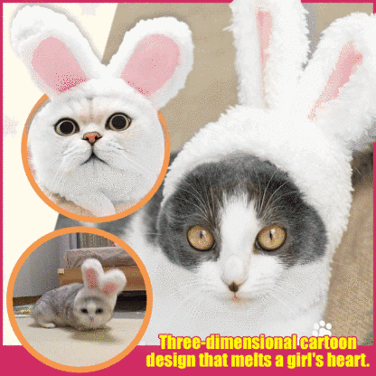  Popular Pet Cat Lion Mane Hat