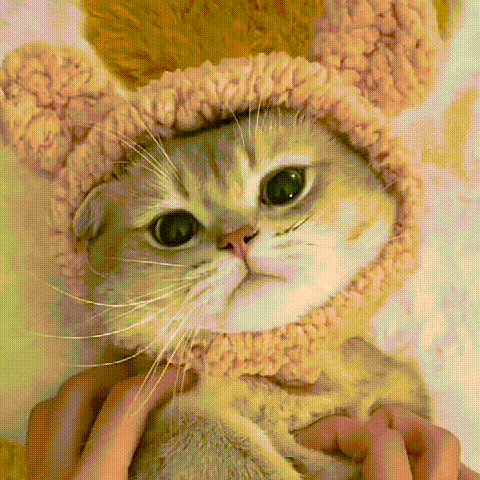  Popular Pet Cat Lion Mane Hat