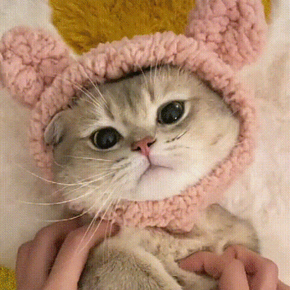  Popular Pet Cat Lion Mane Hat