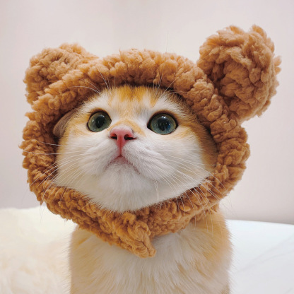  Popular Pet Cat Lion Mane Hat