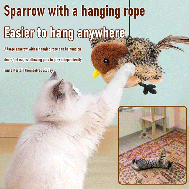 Self-Playing Electric Cat Toy