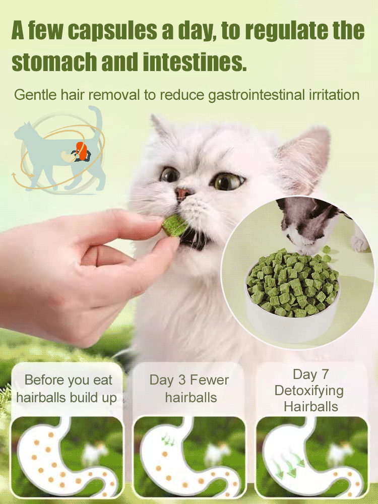  Gentle Hair Removal Cat Treats - Freeze-Dried Catnip Pellets