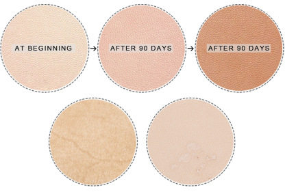 原色 A5 革 ノート カバー