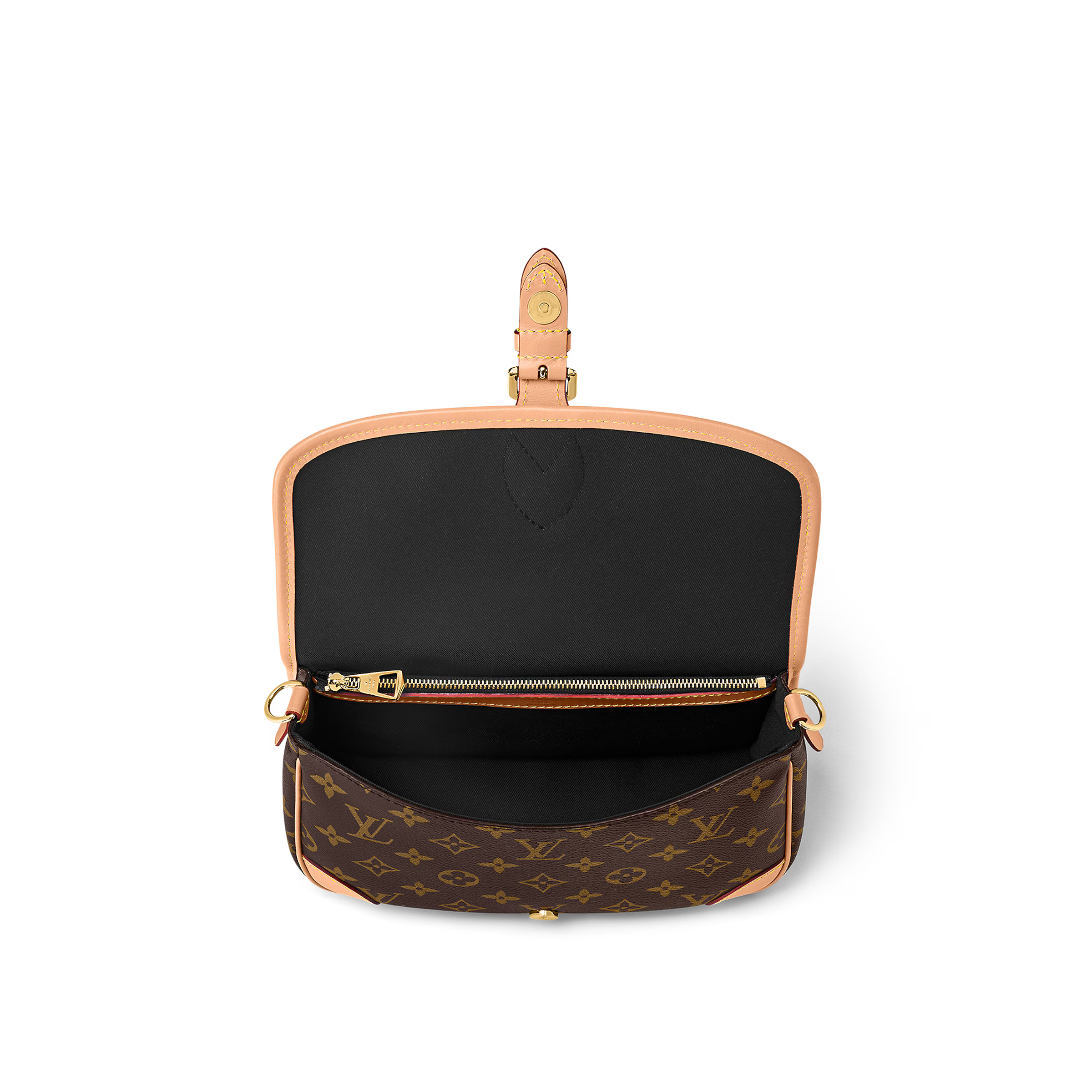 Louis Vuitton（ルイヴィトン）ディアヌ NM PM