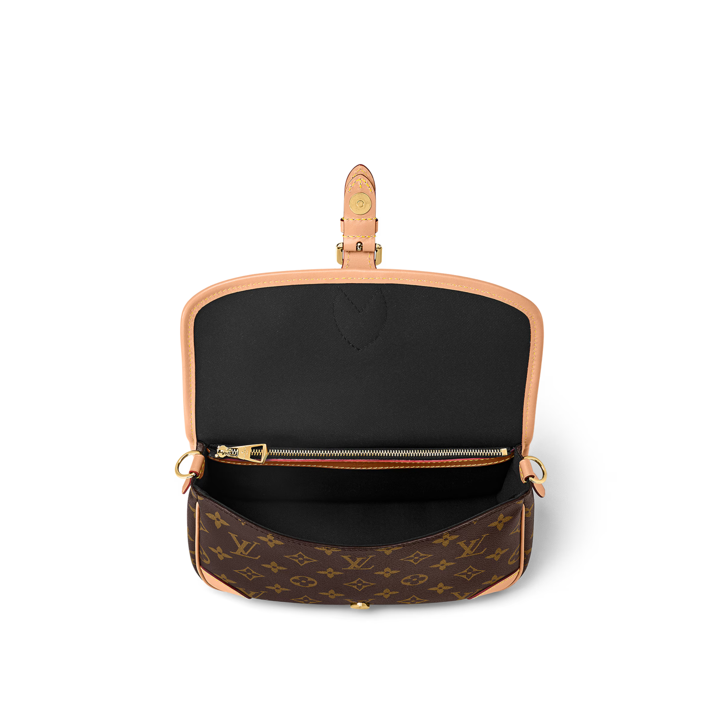 Louis Vuitton（ルイヴィトン）ディアヌ NM PM