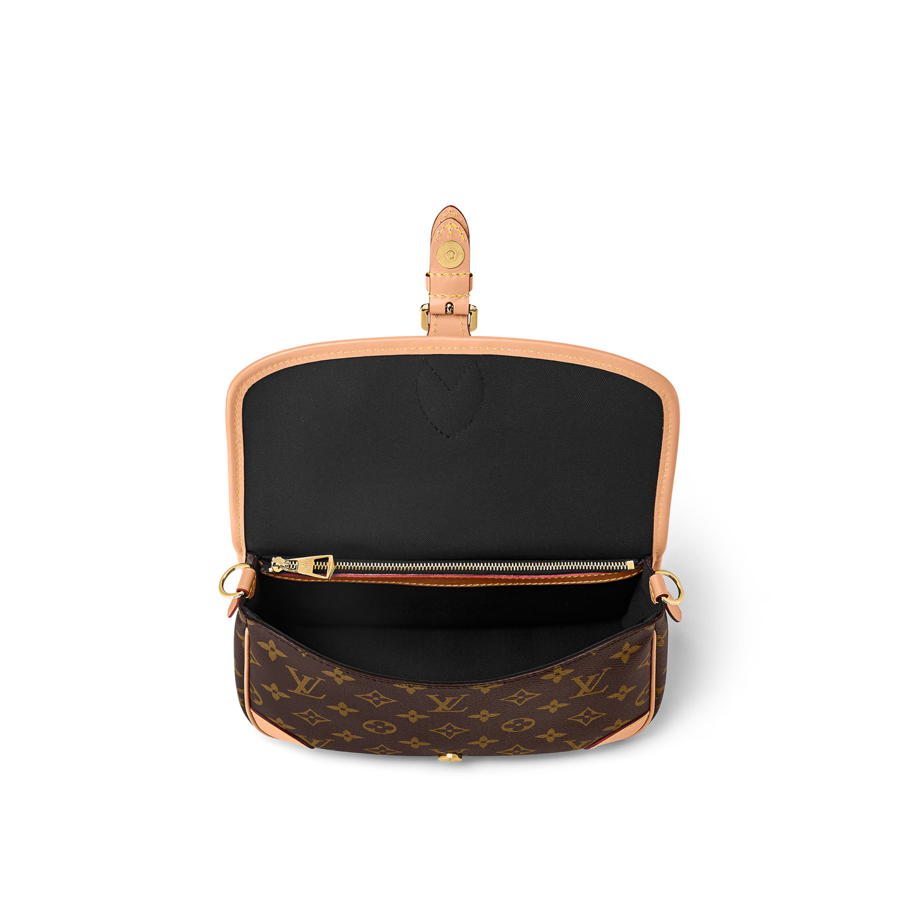 Louis Vuitton（ルイヴィトン）ディアヌ NM PM