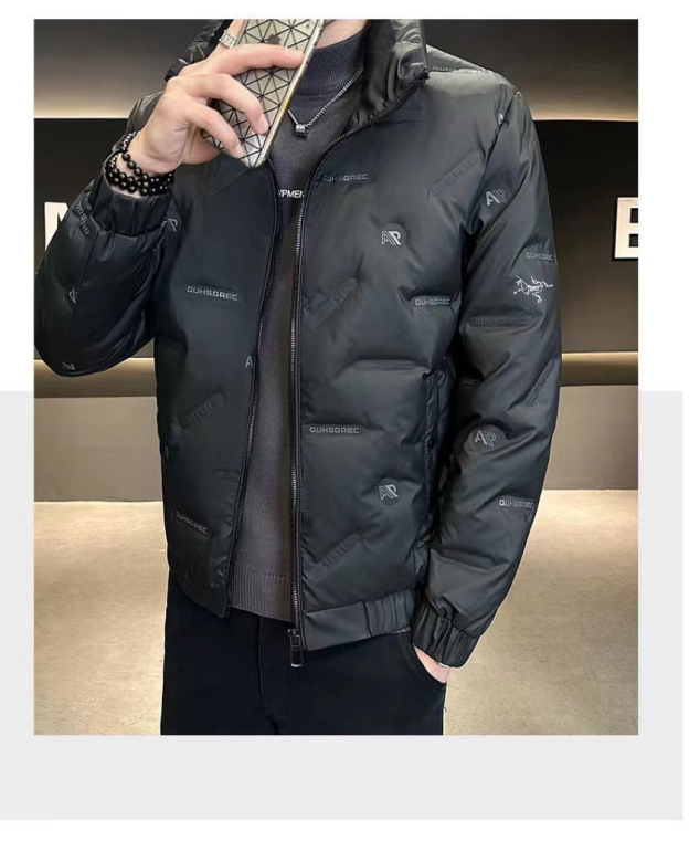 アークテリクス「ARC'TERYX」プリント オーバーサイズ ダウンジャケット