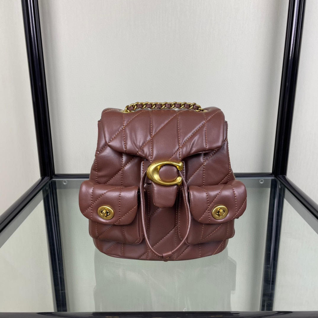 コーチ「Coach」TABBY リュックサック シルエット