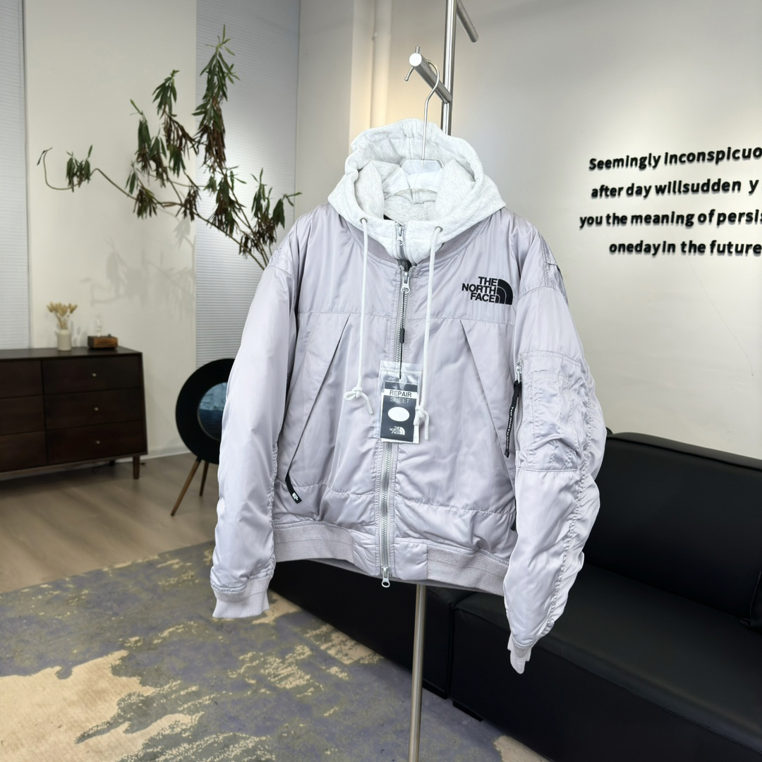 ザ・ノースフェイス「The North Face」フライトシリーズ ルーズシルエット パーカー