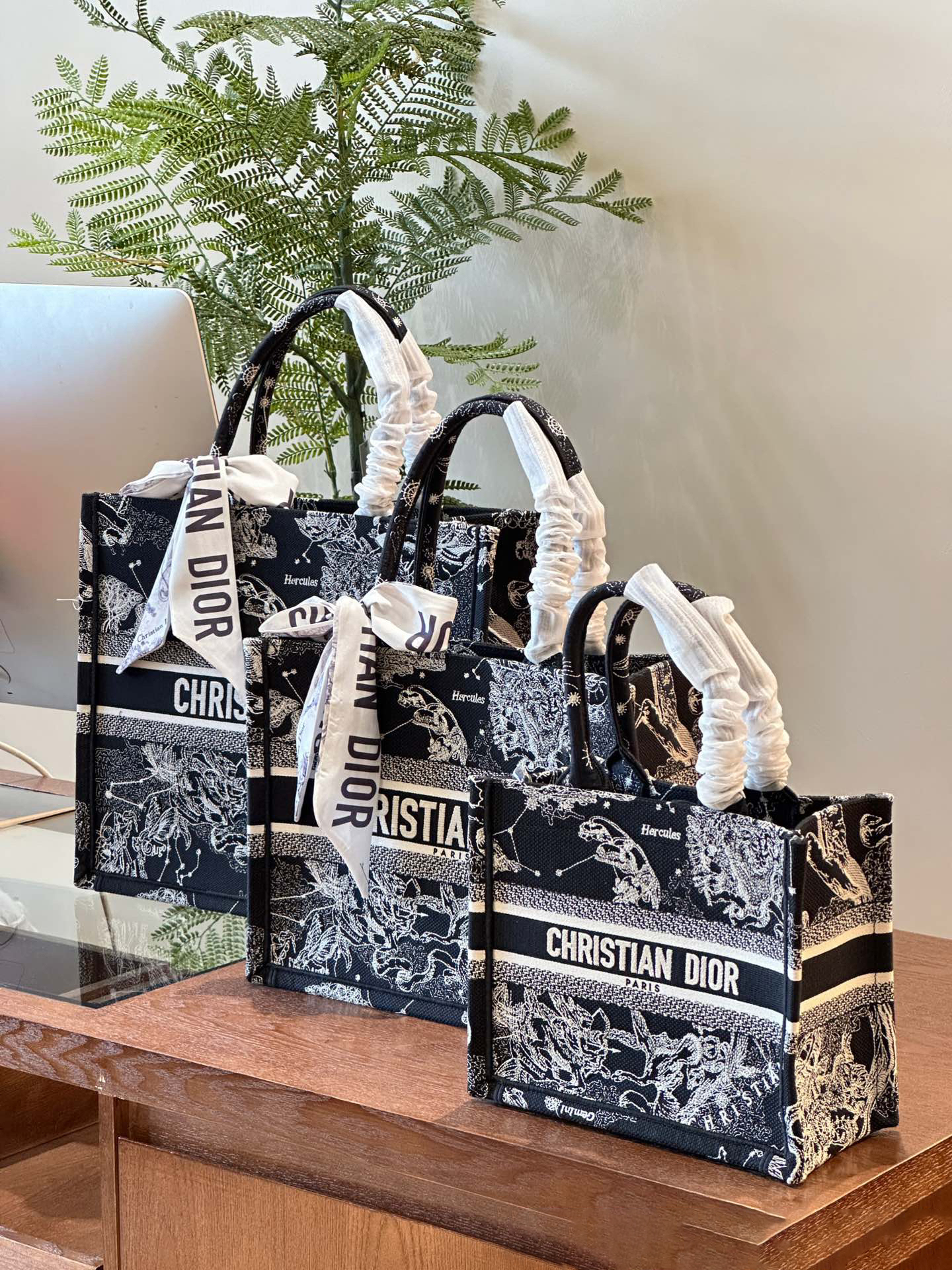 ディオール Dior Book Tote バッグ スモール、ミディアム、ラージの3つのサイズ
