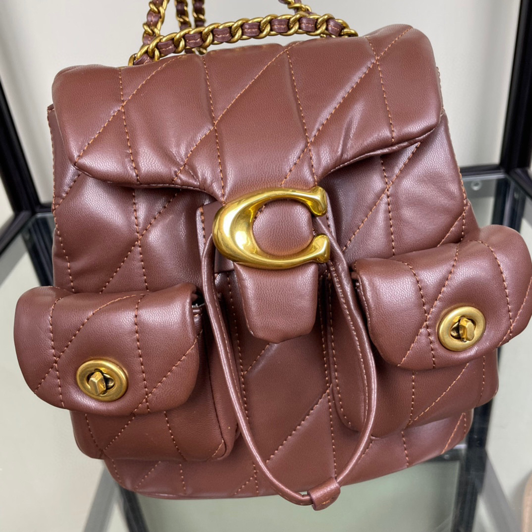 コーチ「Coach」TABBY リュックサック シルエット