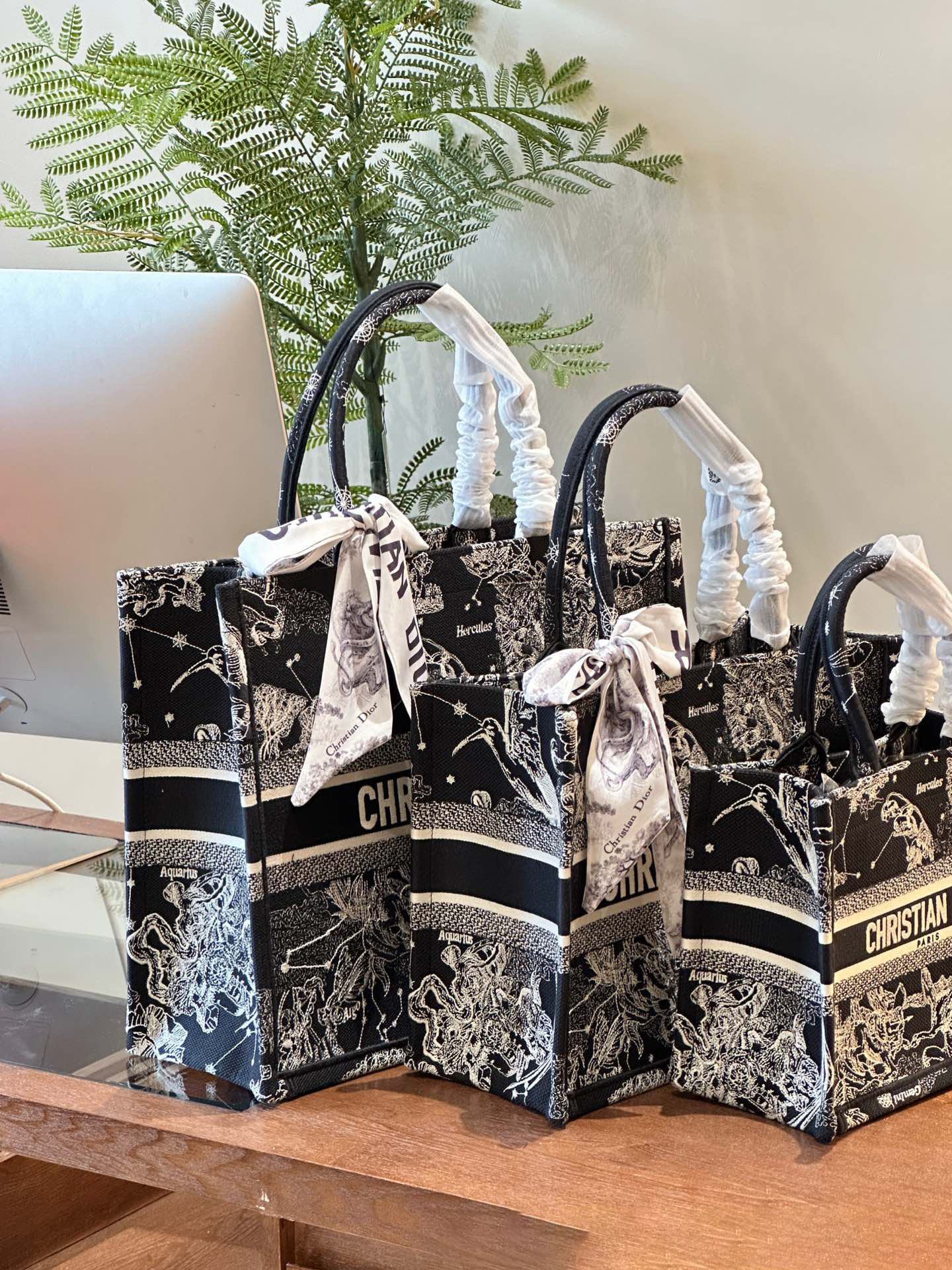 ディオール Dior Book Tote バッグ スモール、ミディアム、ラージの3つのサイズ
