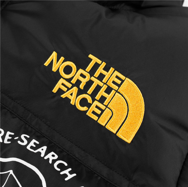 「コラボモデル」The North Face × Brain Dead コラボ グラフィック Nuptse ダウンジャケット