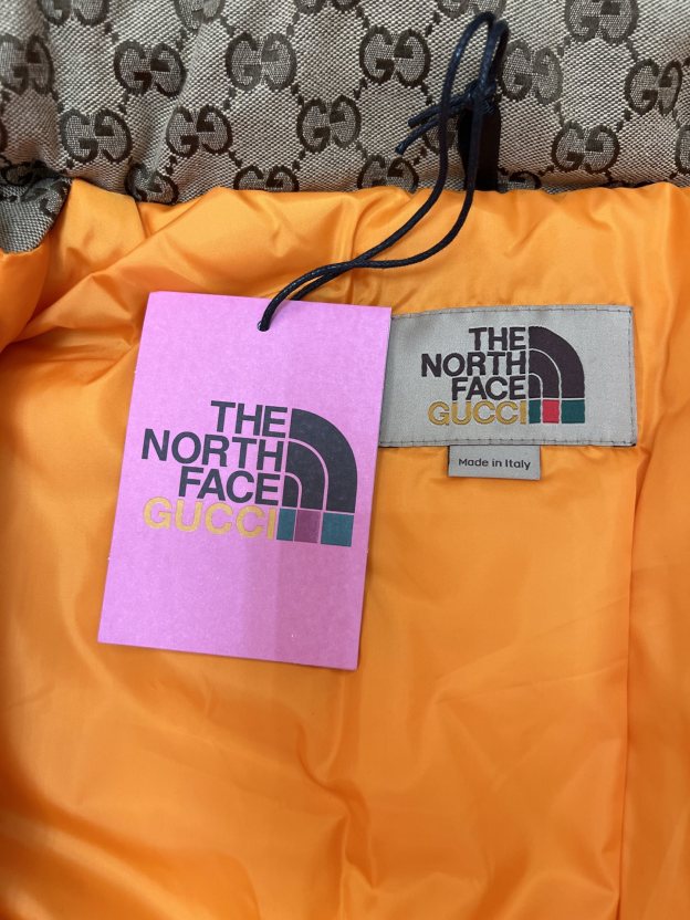 ザ・ノースフェイス「The North Face」 x GUCCI モノグラム ダウンジャケット