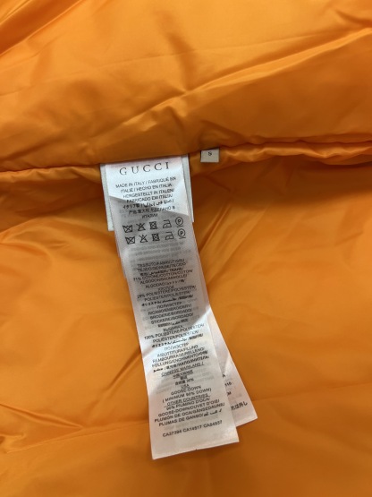 「コラボモデル」The North Face × Gucci モノグラム ダウンジャケット