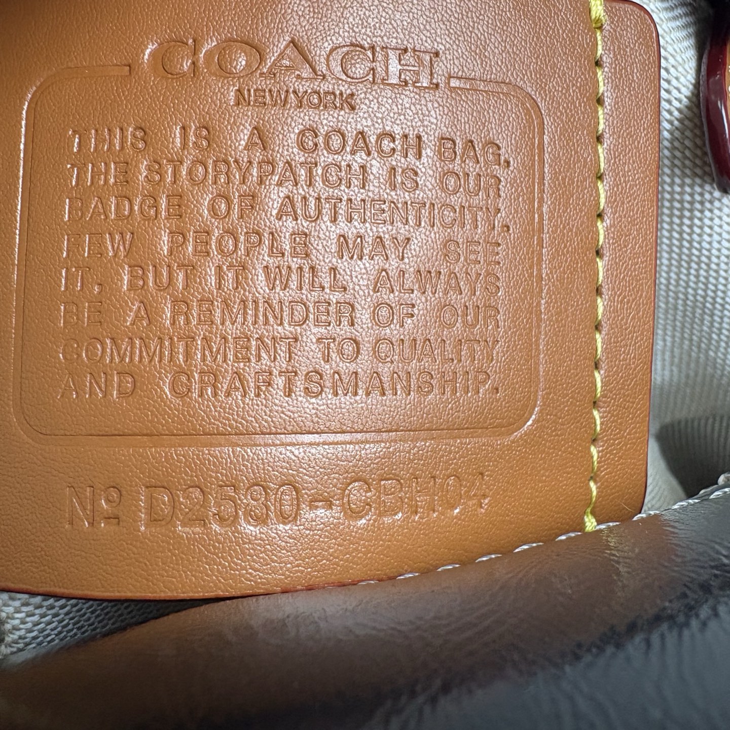 コーチ「Coach」CUBE ROGUE 20 ショルダーバッグ