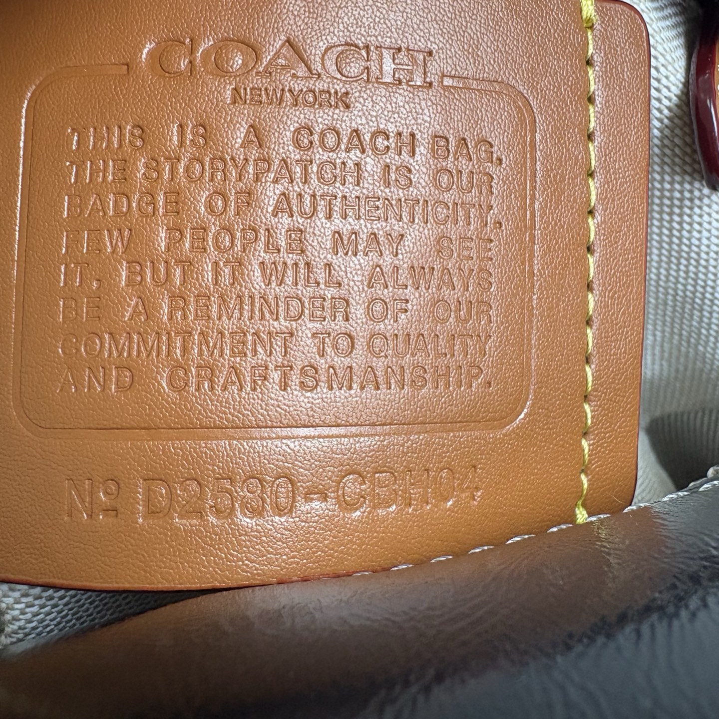 コーチ「Coach」CUBE ROGUE 20 ショルダーバッグ