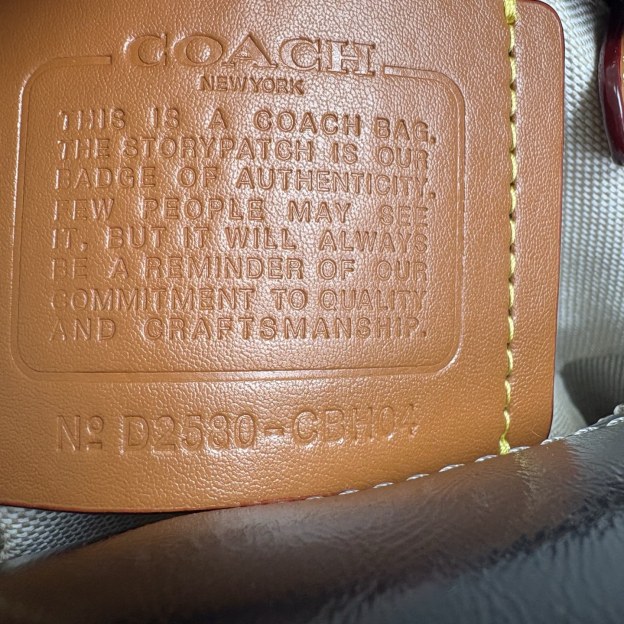 コーチ「Coach」CUBE ROGUE 20 ショルダーバッグ