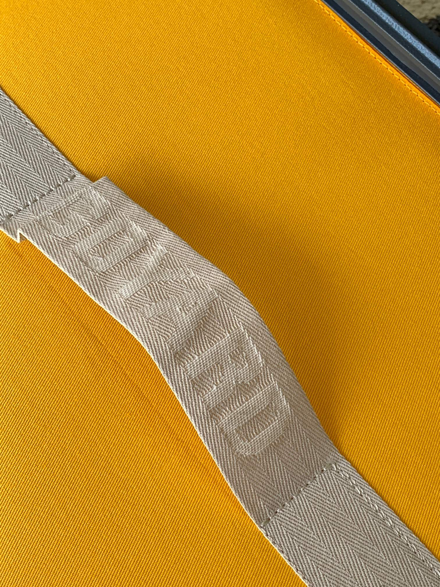 ゴヤール「Goyard」 Louis シリーズ キャビンバッグ