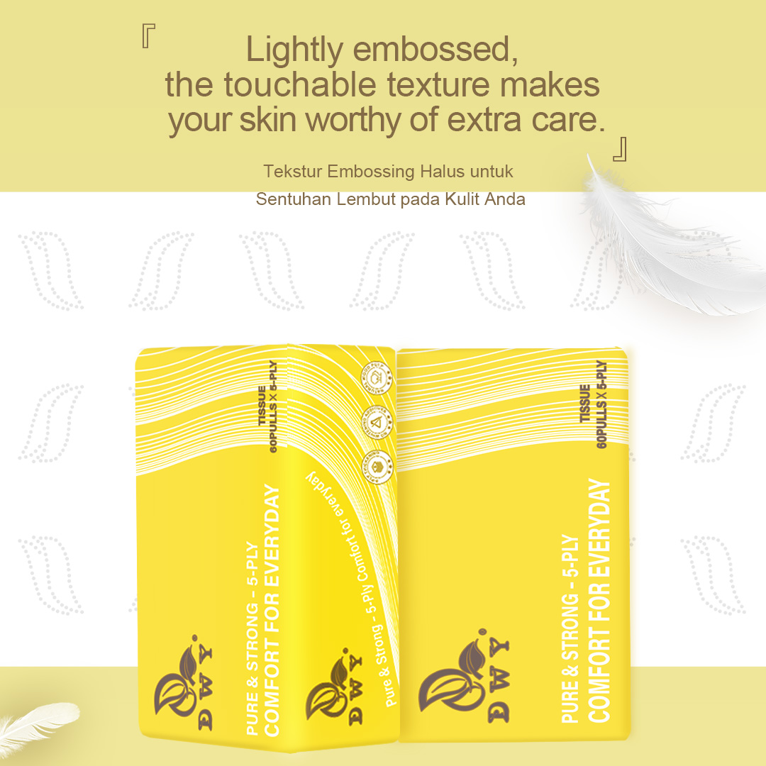 【10Pack】5-Ply Bigsize Viral  Facial Tissue