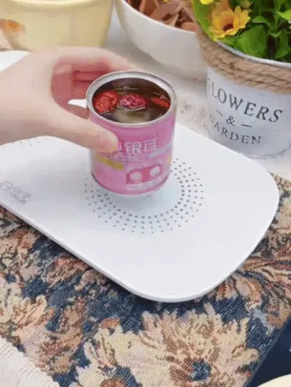 New smart thermostatic heating food warmer.