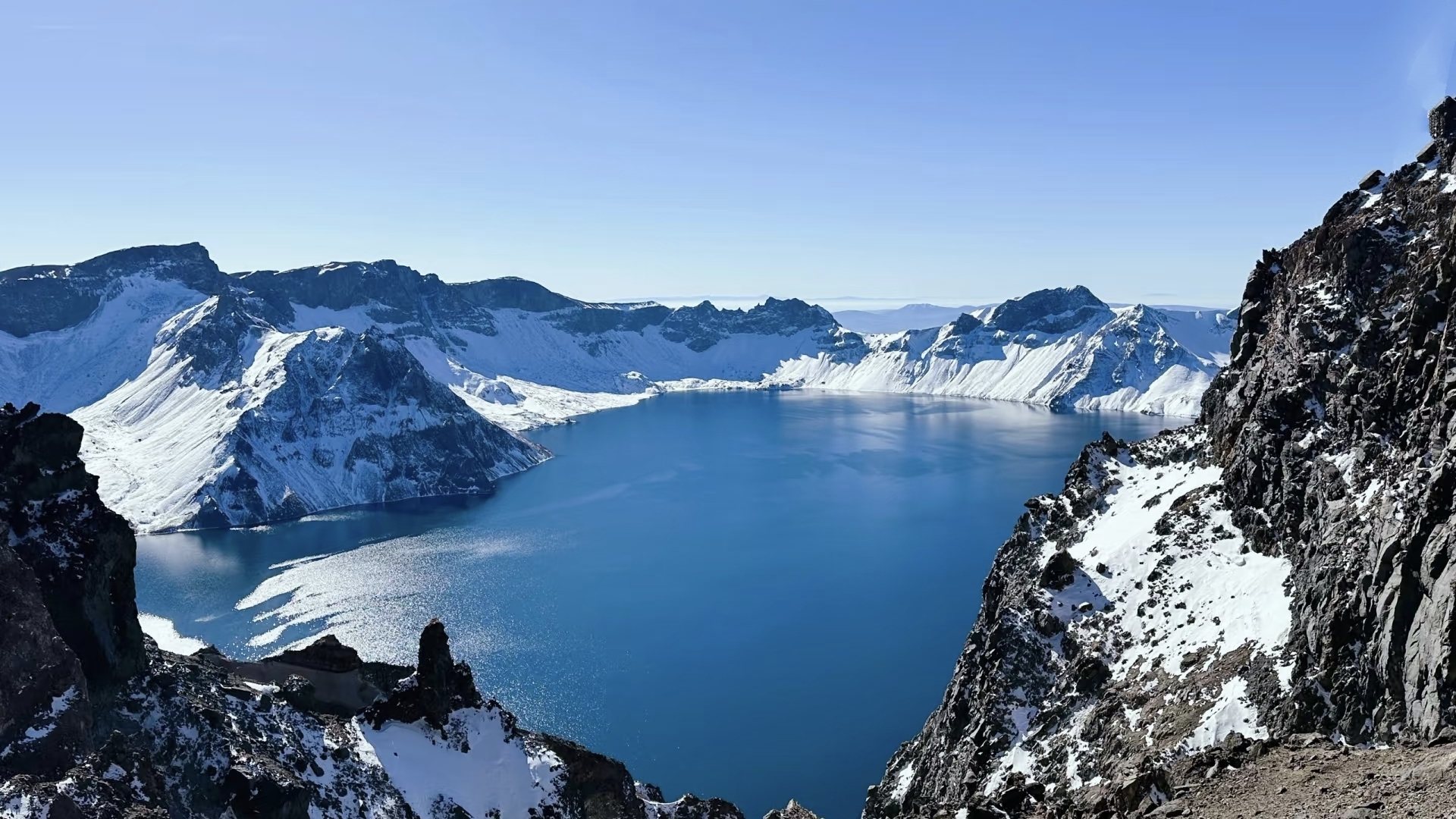 Difference between Wild Ginseng, Korean Ginseng and American Ginseng-CBM GINSENG