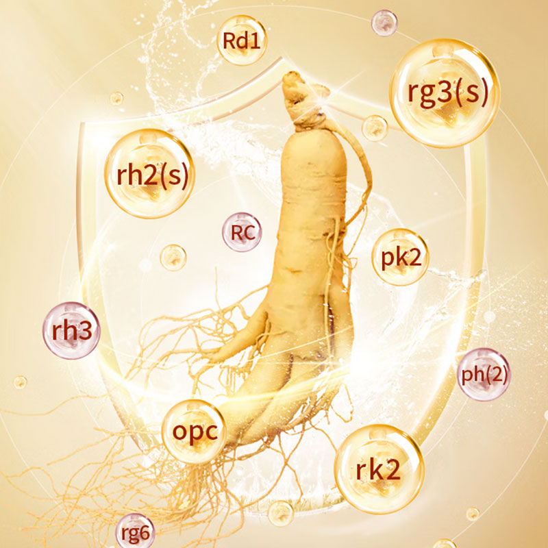 Fresh-Preserved Ginseng 30g-Changbai Mountain Ginseng-CBM GINSENG