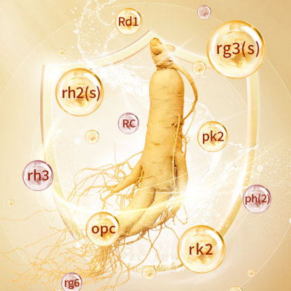 Fresh-Preserved Ginseng 30g-Changbai Mountain Ginseng-CBM GINSENG