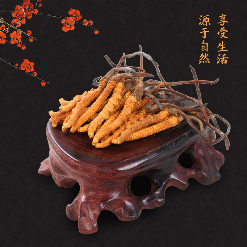 Changbai Mountain Ginseng Forest-cultivated Ginseng and Cordyceps Sinensis with Gift Box