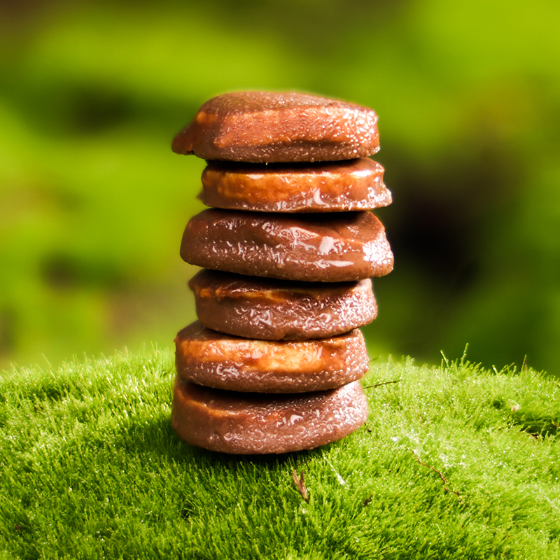 Active freeze - dried ginseng dark chocolate,1 bag of 5g-10 bags/box-Changbai Mountain Ginseng -CBM GINSENG