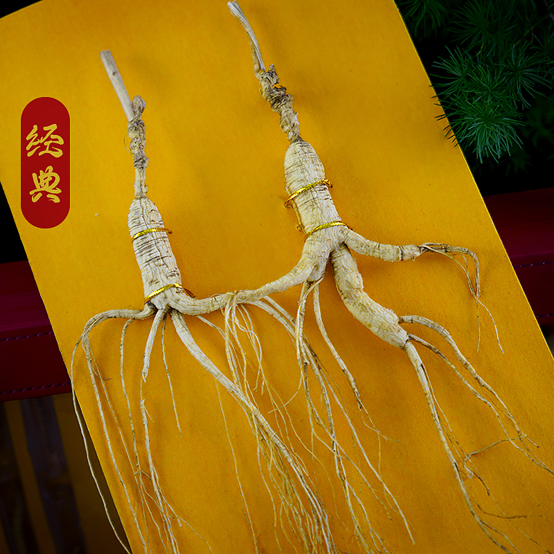 How to eat wild ginseng?-CBM GINSENG