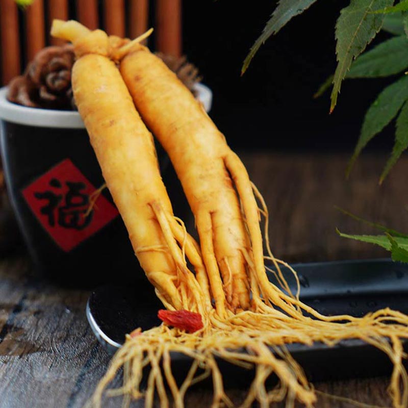 CBM Regular Ginseng