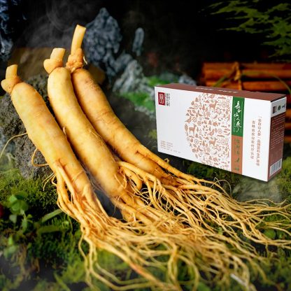 Fresh-Preserved Ginseng, 100g/box - Changbai Mountain Ginseng